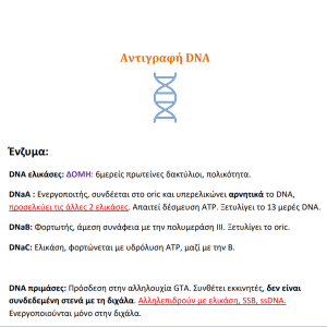 Πανεπιστημιακές σημειώσεις: ένζυμα Αντιγραφής DNAΠανεπιστημιακές σημειώσεις: ένζυμα Αντιγραφής DNA